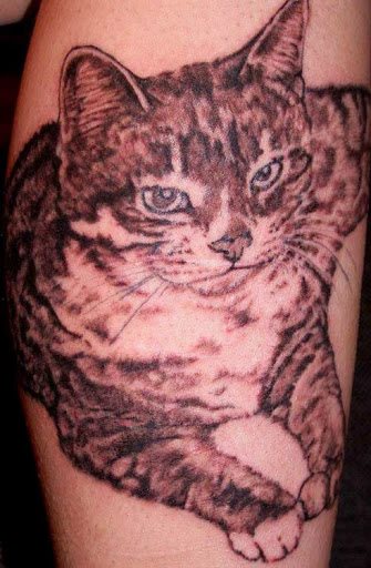 tatuaje gato 15