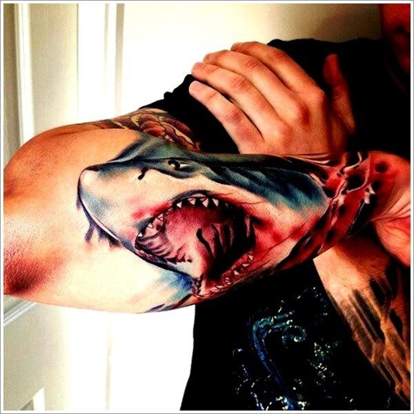 Tatuaje muy realista de un tiburn en el antebrazo Tatuaje muy realista de un tiburn en el antebrazo