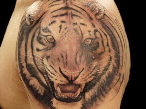 Diseo de la cabeza de un tigre en el brazo de este chico Diseo de la cabeza de un tigre en el brazo de este chico