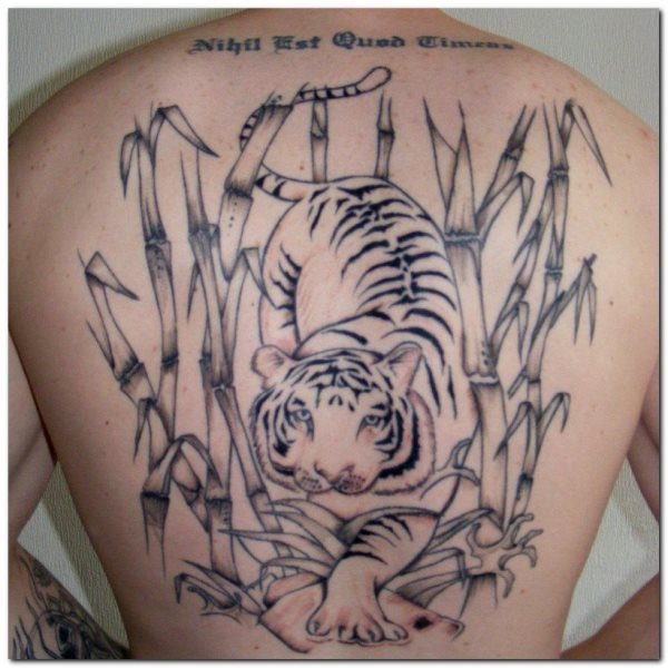 Un tigre que acecha entre ramas tatuado en la espalda Un tigre que acecha entre ramas tatuado en la espalda