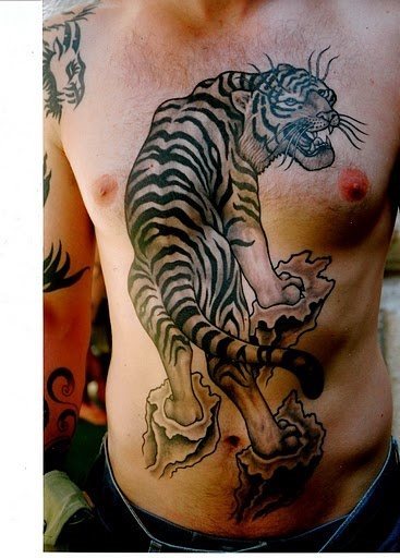 Gran diseo de un tigre de espaldas tatuado en todo el pecho Gran diseo de un tigre de espaldas tatuado en todo el pecho