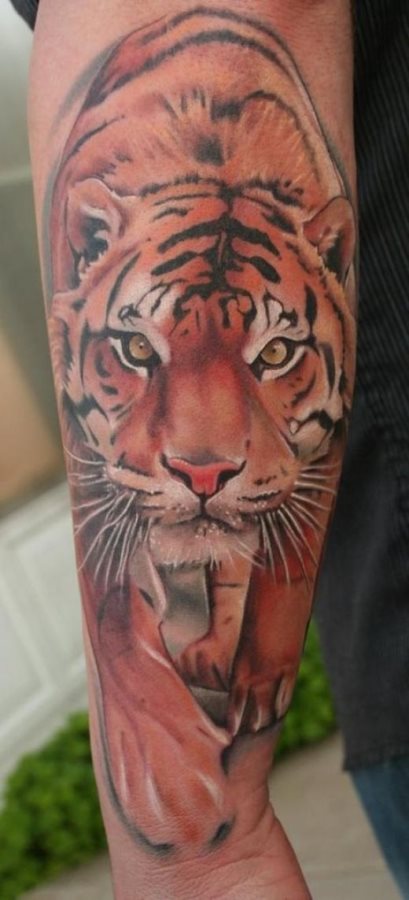 Excelentemente hecho este diseo de un tigre que parece real Excelentemente hecho este diseo de un tigre que parece real