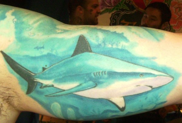 Diseo en tonos azulados en la parte interna del brazo Diseo en tonos azulados en la parte interna del brazo