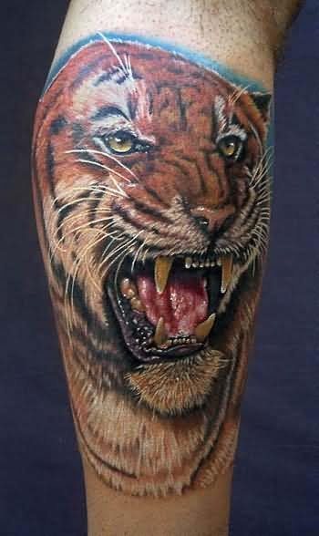 Excelente y fiero diseo de la cabeza de un tigre Excelente y fiero diseo de la cabeza de un tigre