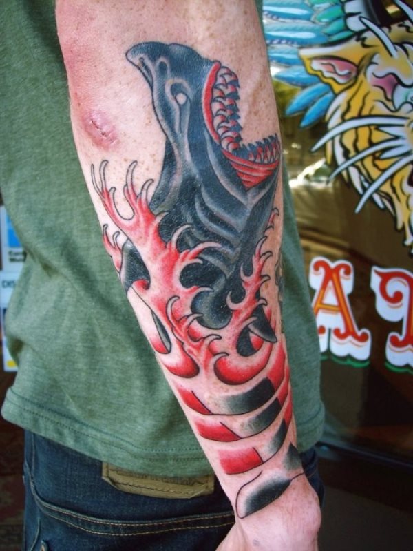Diseo de un tiburn con la boca abierta con toques de color rojo Diseo de un tiburn con la boca abierta con toques de color rojo