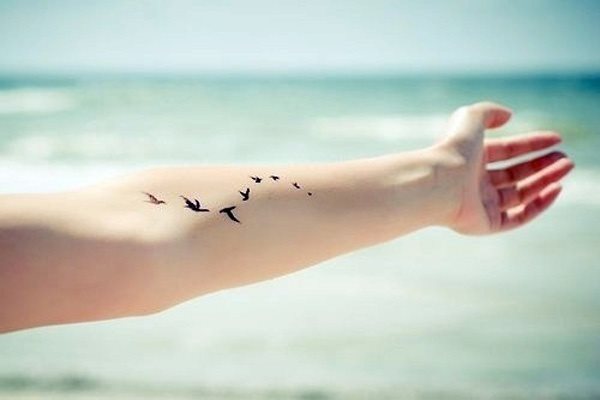 Pequeos pjaros que vuelan por el brazo de esta chica Pequeos pjaros que vuelan por el brazo de esta chica