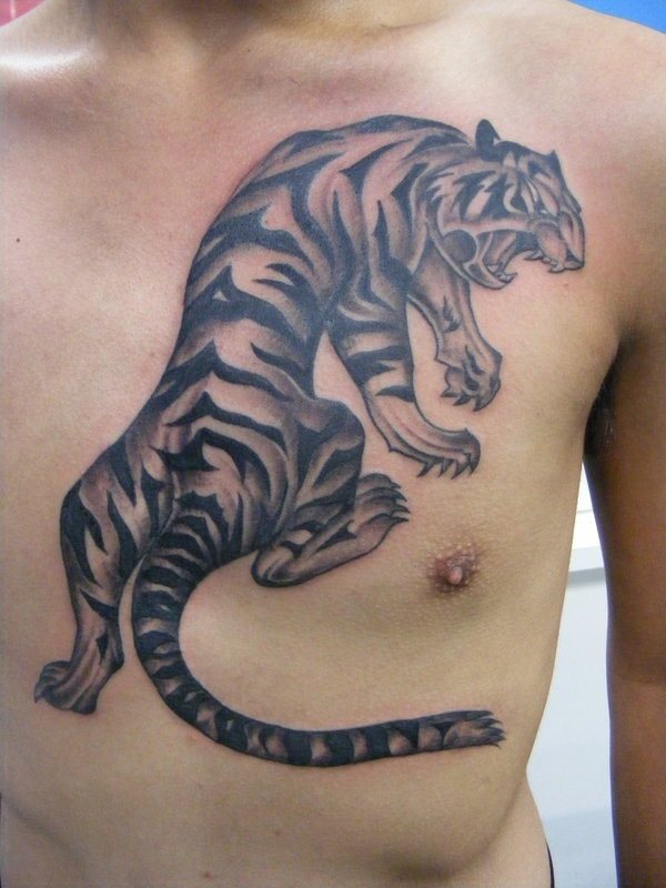 Un nuevo diseo de un tigre de espaldas tatuado en el pecho Un nuevo diseo de un tigre de espaldas tatuado en el pecho