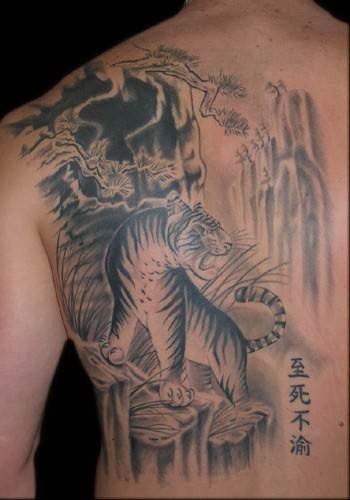 Bonita imagen de un tigre con un bonito paisaje al fondo Bonita imagen de un tigre con un bonito paisaje al fondo