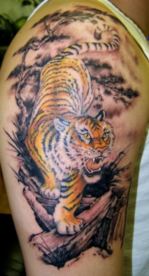 Tigre entre vegetacin Tigre entre vegetacin
