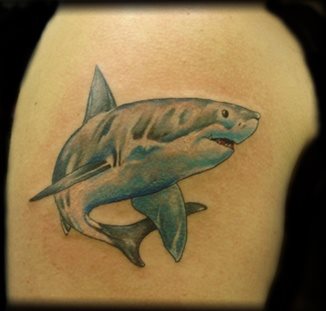 Bonito diseño de un tiburó en tonos azules Bonito diseño de un tiburó en tonos azules