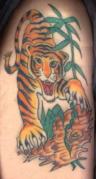 Diseo de un tigre tatuado en el brazo Diseo de un tigre tatuado en el brazo