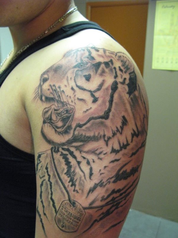 El tigre que vemos en la pantalla es una hembra con una chapa de metal colgada de su cuello de esas que usan en el ejrcito para los soldados El tigre que vemos en la pantalla es una hembra con una chapa de metal colgada de su cuello de esas que usan en el ejrcito para los soldados
