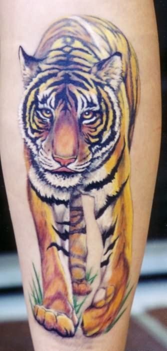 Un tigre de mirada dcil Un tigre de mirada dcil
