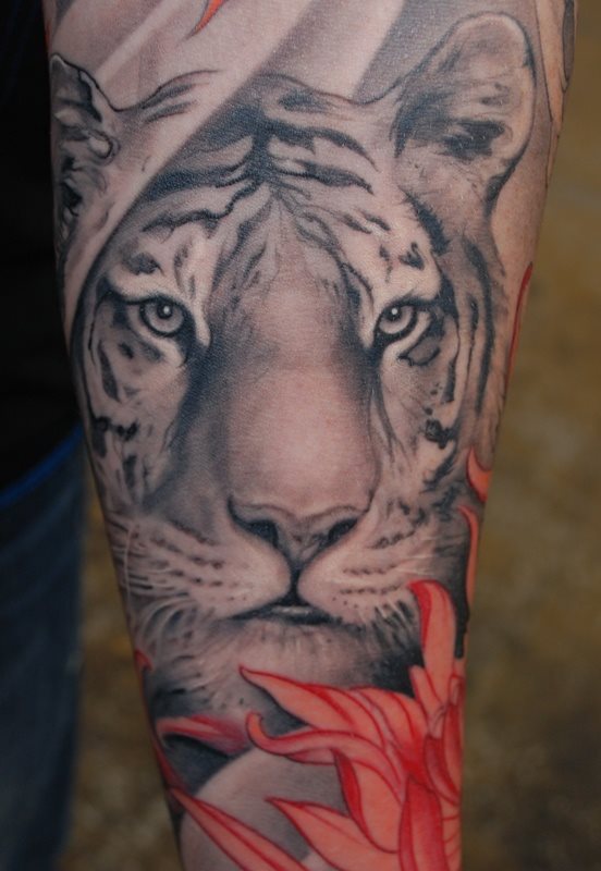 El rostro de un tigre muy real y hecho de sombras negras con flores en tonos rojizos en la parte inferior El rostro de un tigre muy real y hecho de sombras negras con flores en tonos rojizos en la parte inferior