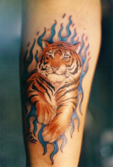 Diseo de un tigre con un fondo de llamas azules Diseo de un tigre con un fondo de llamas azules