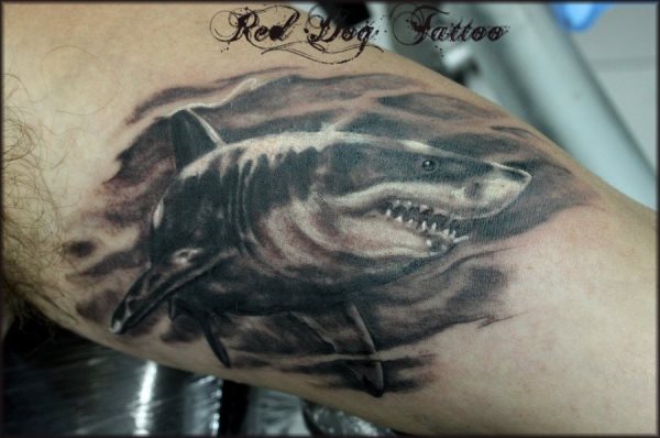 Quizs el hombro o brazo no es el mejor lugar del cuerpo para este tipo de tatuajes Quizs el hombro o brazo no es el mejor lugar del cuerpo para este tipo de tatuajes