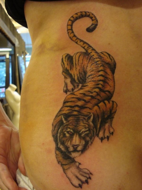 Tatuaje de un tigre en la espalda Tatuaje de un tigre en la espalda