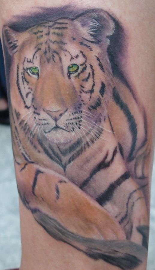 Muy bonito el diseo de este tigre de aspecto dcil Muy bonito el diseo de este tigre de aspecto dcil