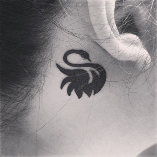 Cisne detrs de la oreja Cisne detrs de la oreja