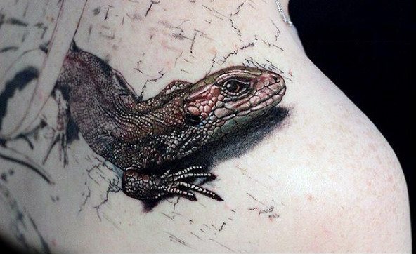 tatuaje lagarto para hombre 13