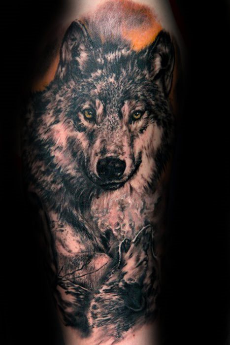 tatuaje lobo realista para hombre 08