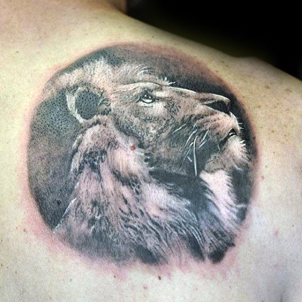 tatuaje leon espalda para hombre 34
