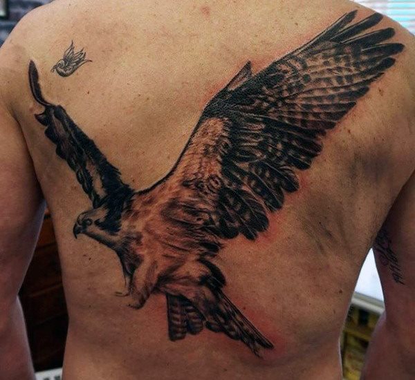 tatuaje pajaro para hombre 50