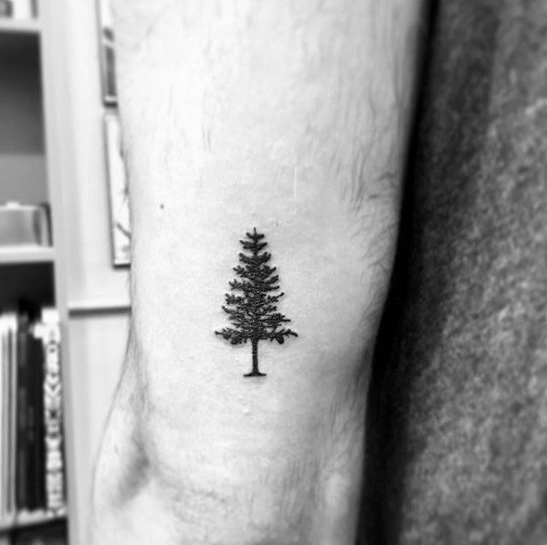 pequeno tatuaje arbol para hombre 06