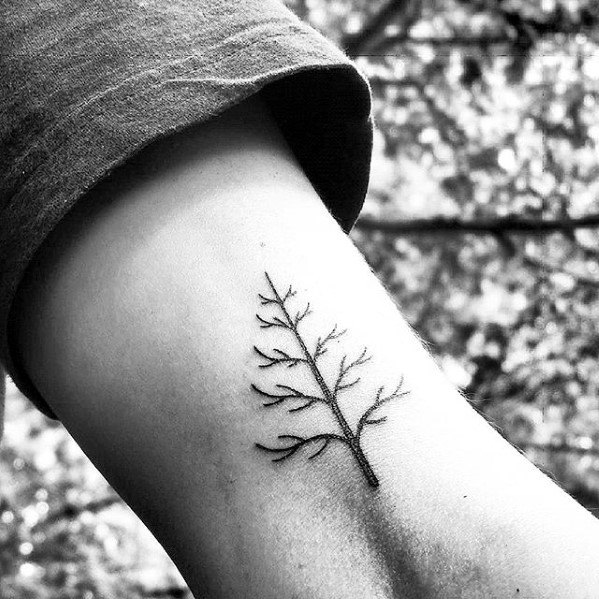 pequeno tatuaje arbol para hombre 26