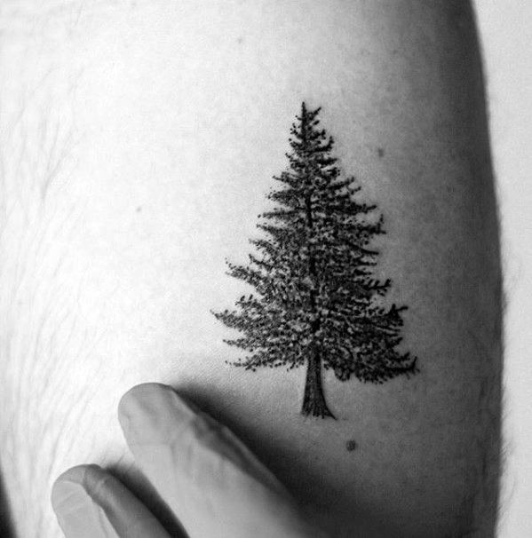 pequeno tatuaje arbol para hombre 37