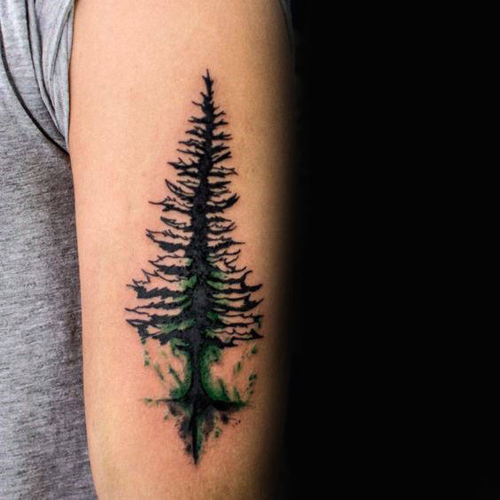 tatuaje acuarela arbol para hombre 34