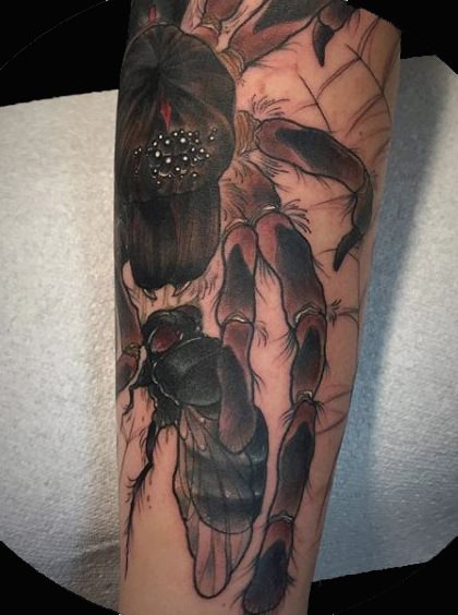 tatuaje arana para hombre 89