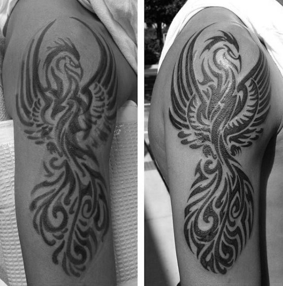 tatuaje fenix tribal para hombre 22