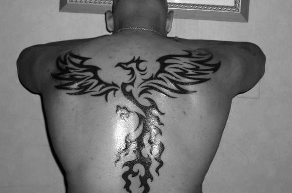 tatuaje fenix tribal para hombre 27