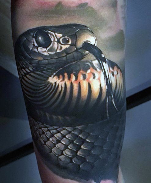 tatuaje serpiente para hombre 41