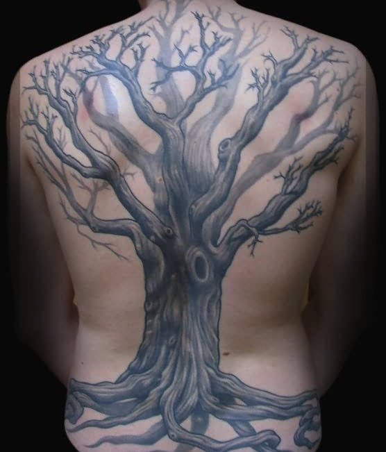 tatuaje arbol espalda para hombre 06