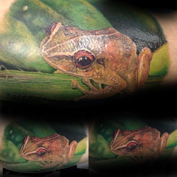 tatuaje rana en arbol para hombre 19