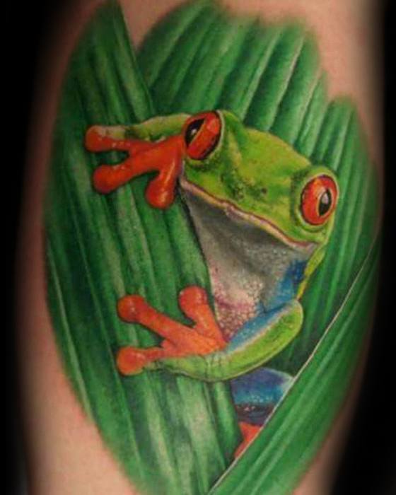 tatuaje rana en arbol para hombre 22